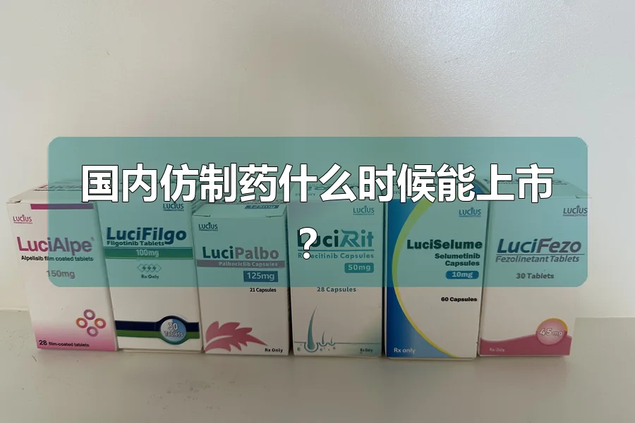 国内仿制药什么时候能上市?